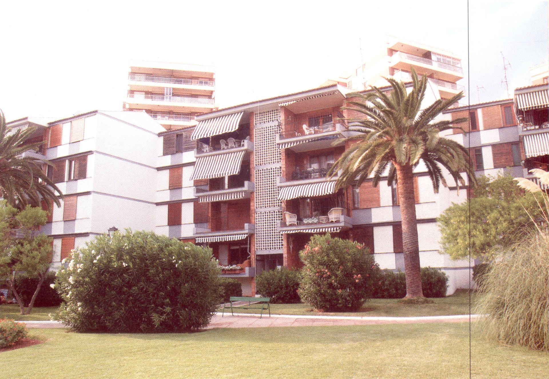 Jardín central con palmera frente a los bloques